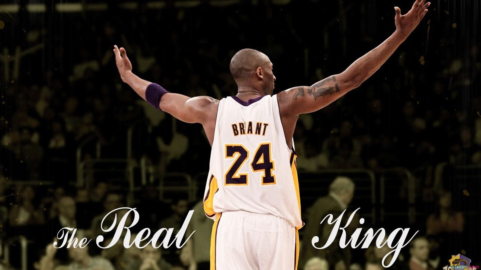 世界青少年街头篮球赛燃爆南京夜场，街头篮球2021南京站